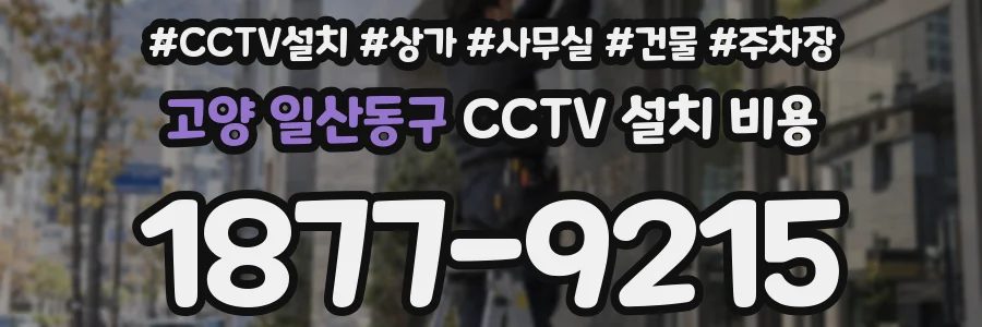 고양 일산동구 CCTV 설치 비용