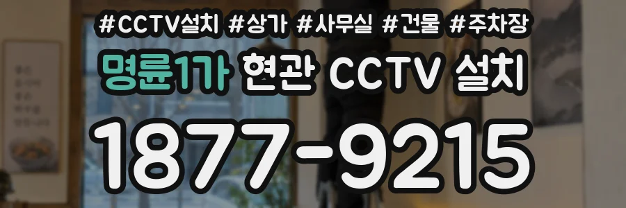 명륜1가 현관 CCTV 설치