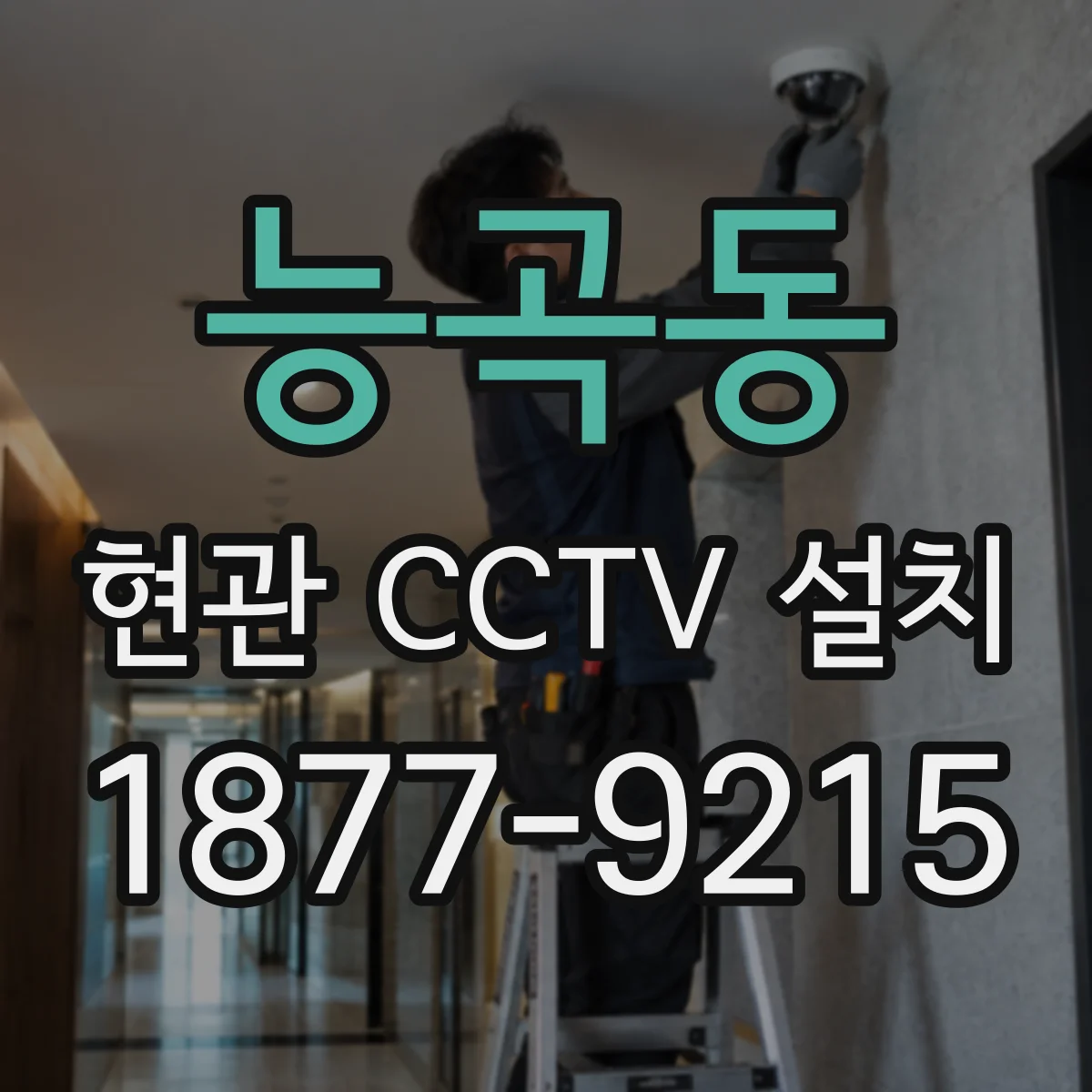 능곡동 현관 CCTV 설치