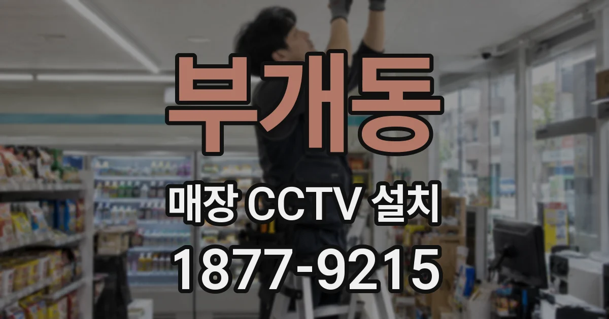 부개동 매장 CCTV 설치