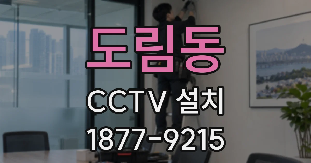 도림동 CCTV 설치