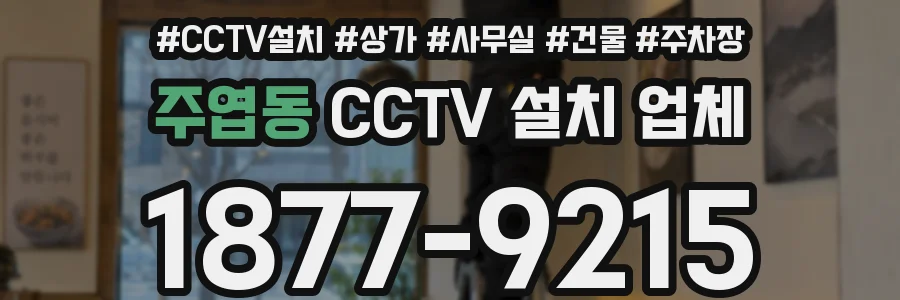 주엽동 CCTV 설치 업체