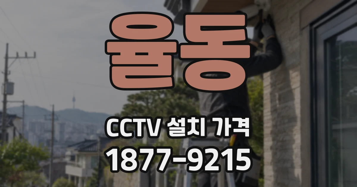 율동 CCTV 설치 가격