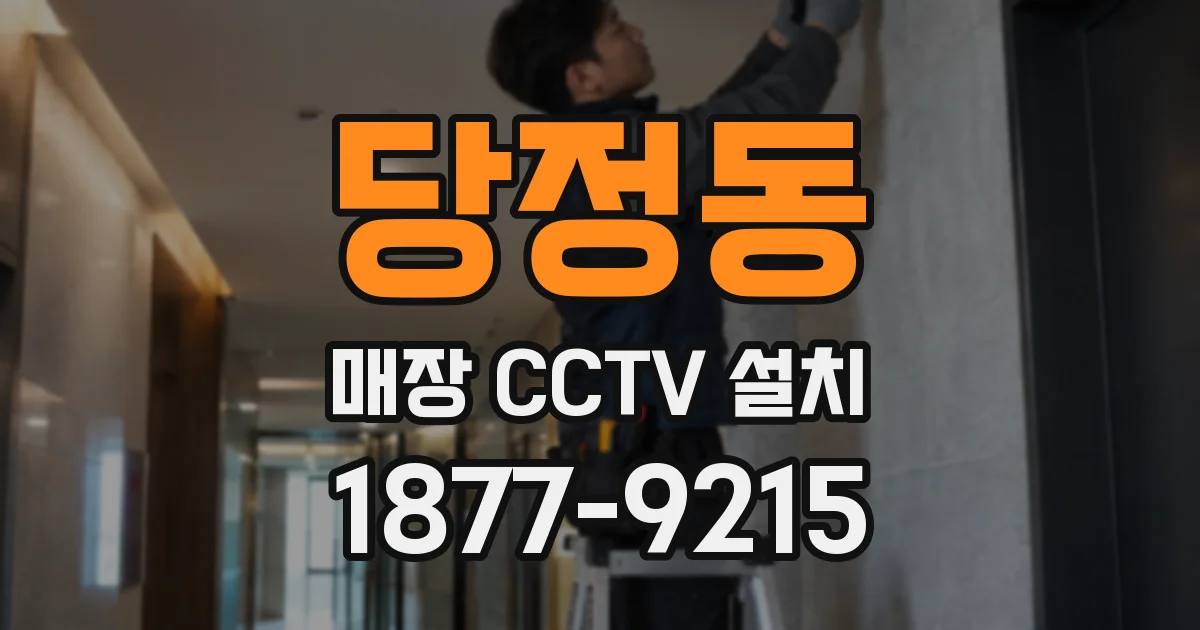 당정동 매장 CCTV 설치