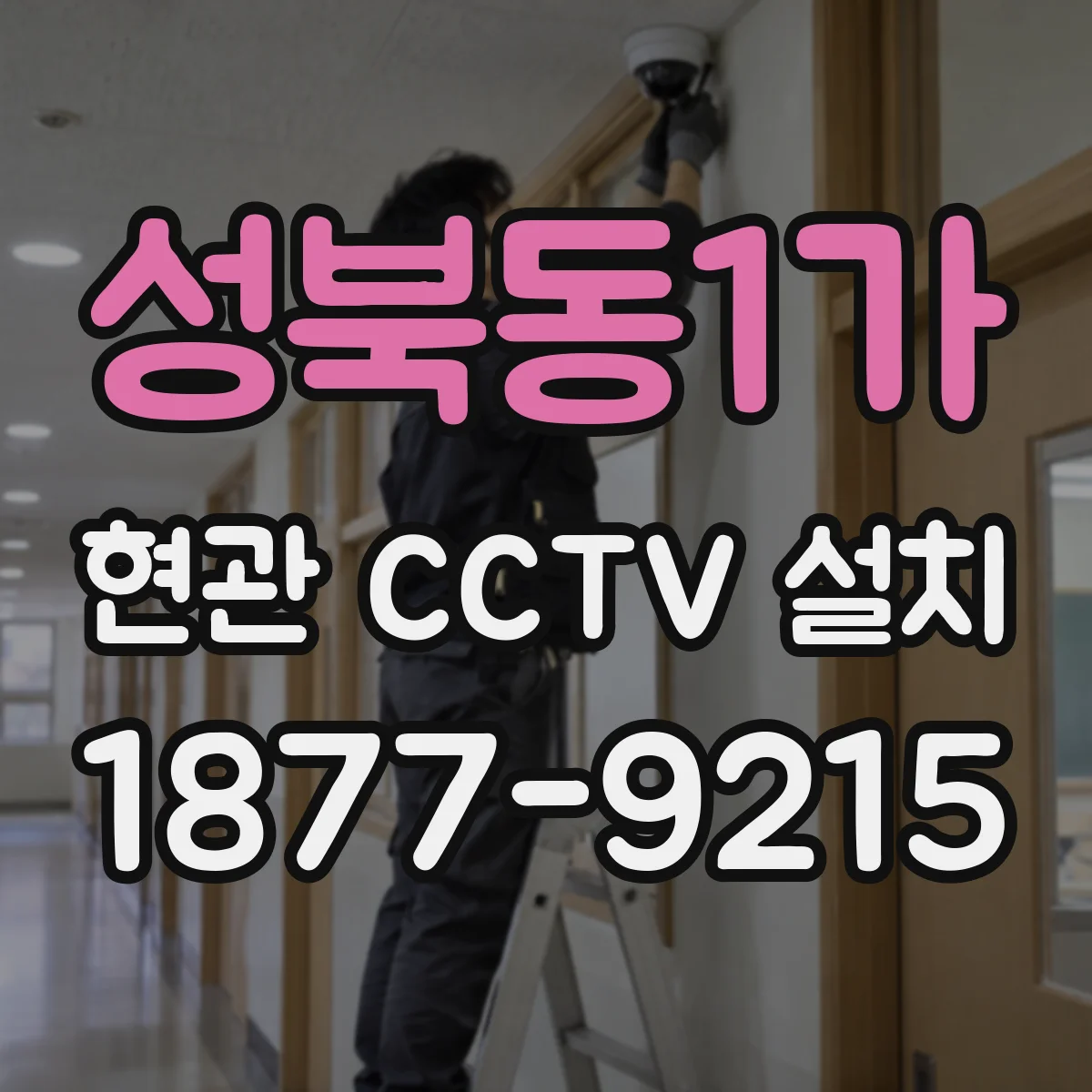 성북동1가 현관 CCTV 설치