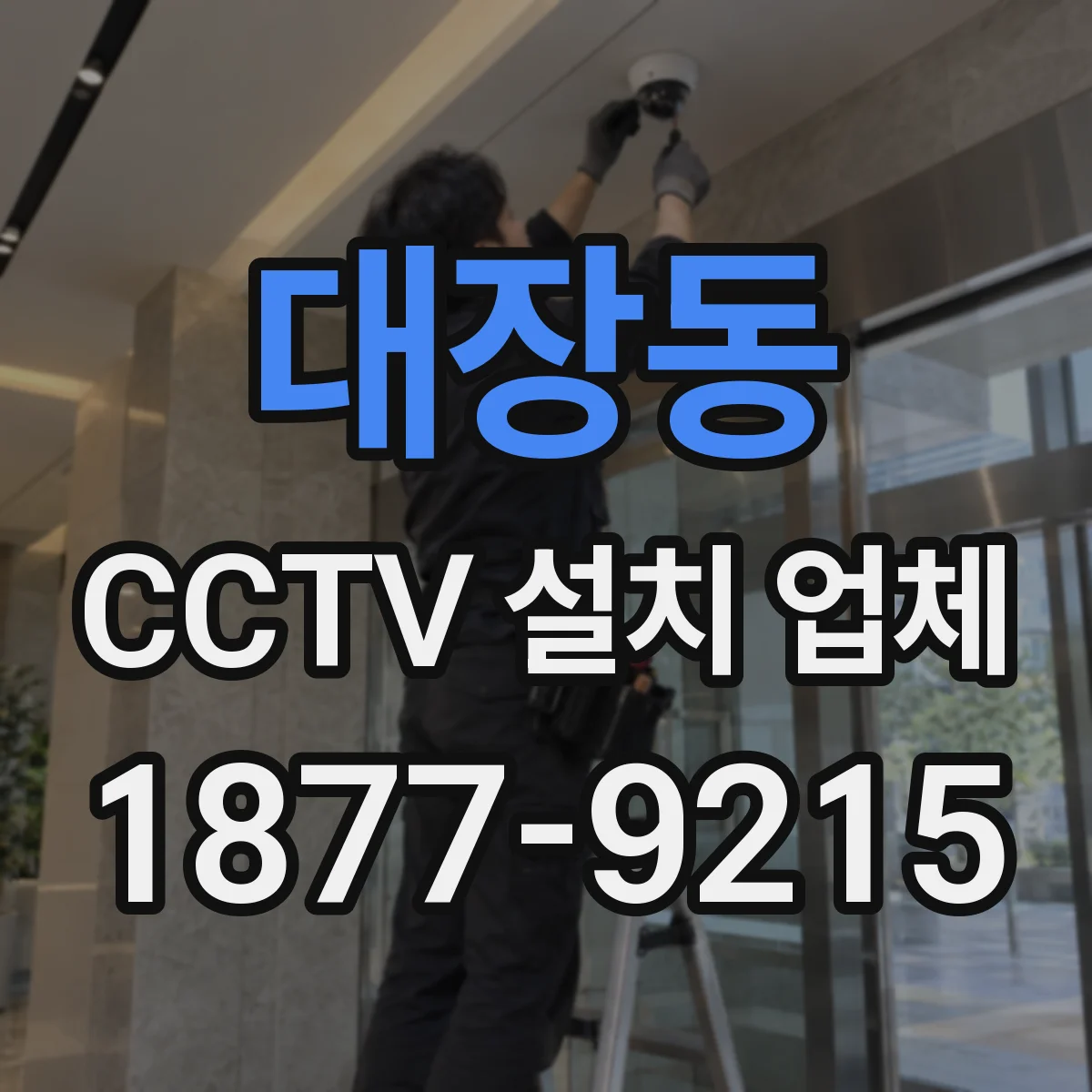 대장동 CCTV 설치 업체