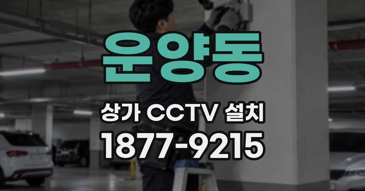 운양동 상가 CCTV 설치
