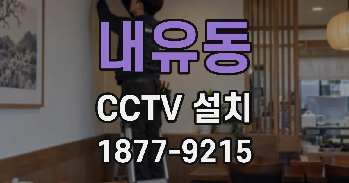 내유동 CCTV 설치