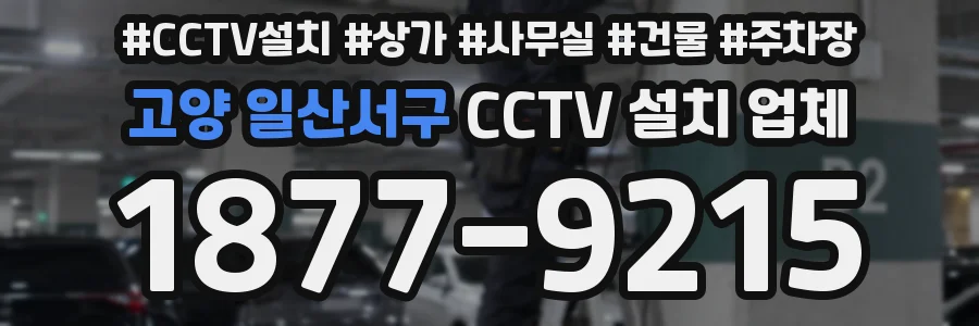 고양 일산서구 CCTV 설치 업체