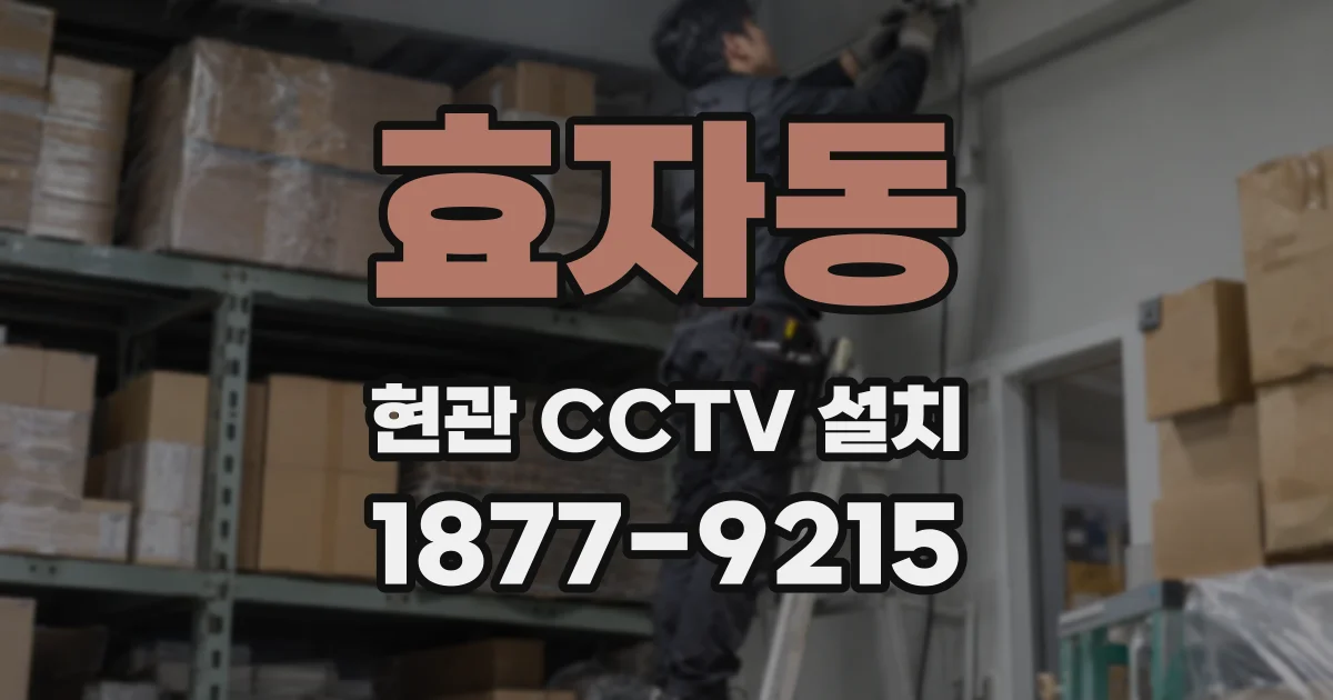 효자동 현관 CCTV 설치