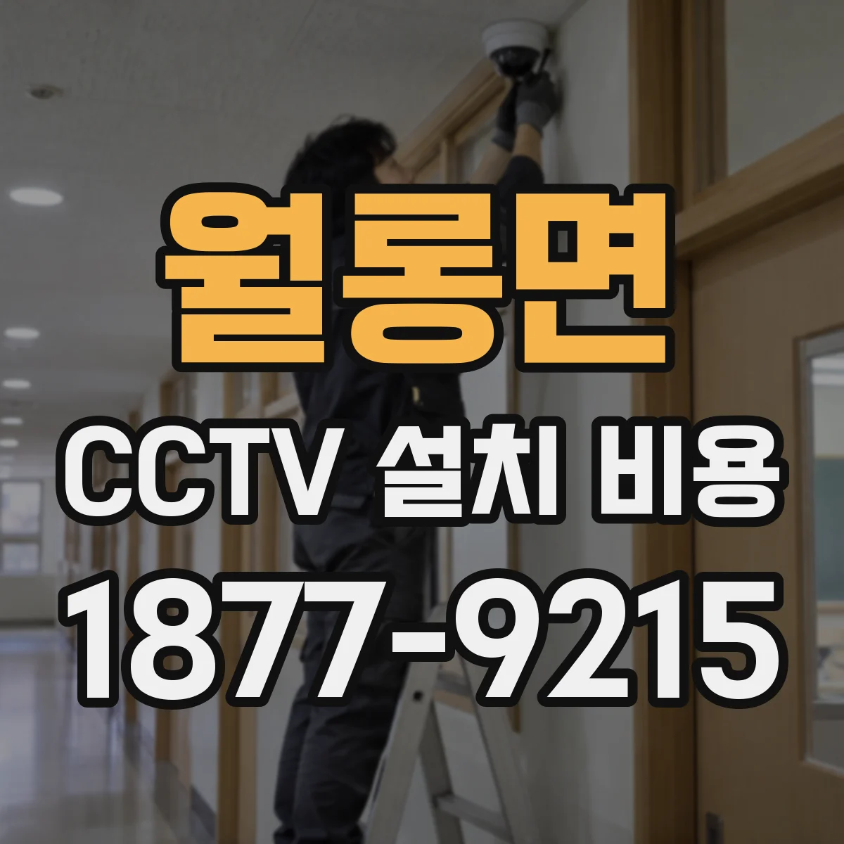 월롱면 CCTV 설치 비용