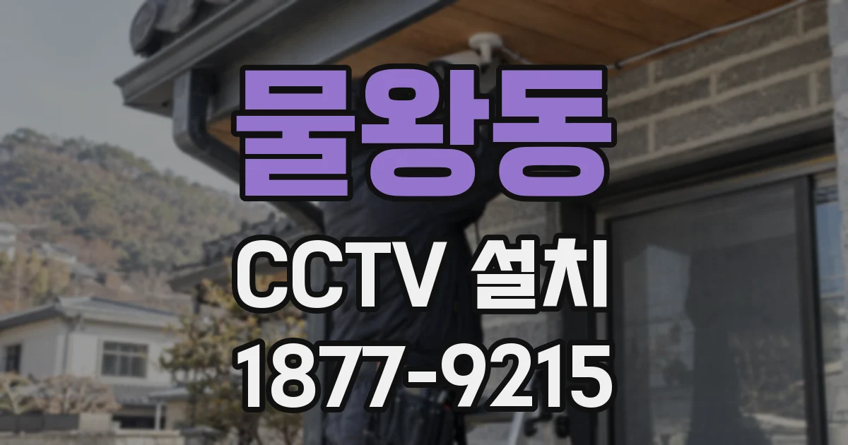 물왕동 CCTV 설치
