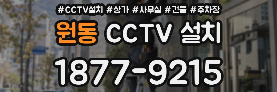 원동 CCTV 설치