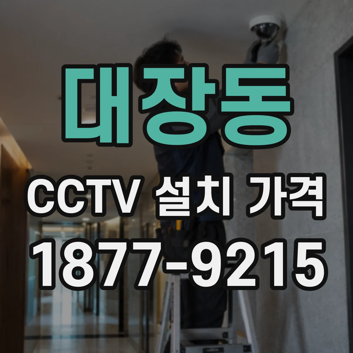 대장동 CCTV 설치 가격