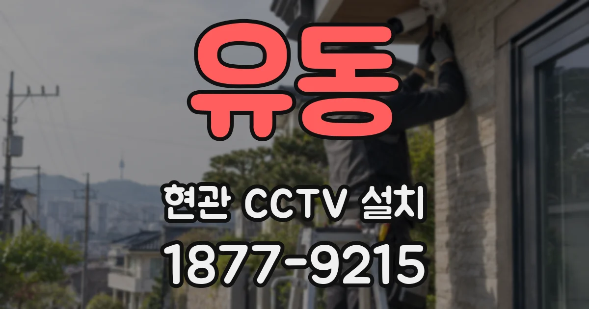 유동 현관 CCTV 설치