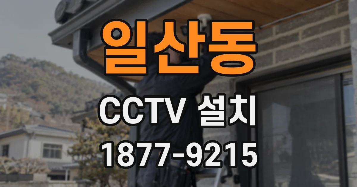 일산동 CCTV 설치
