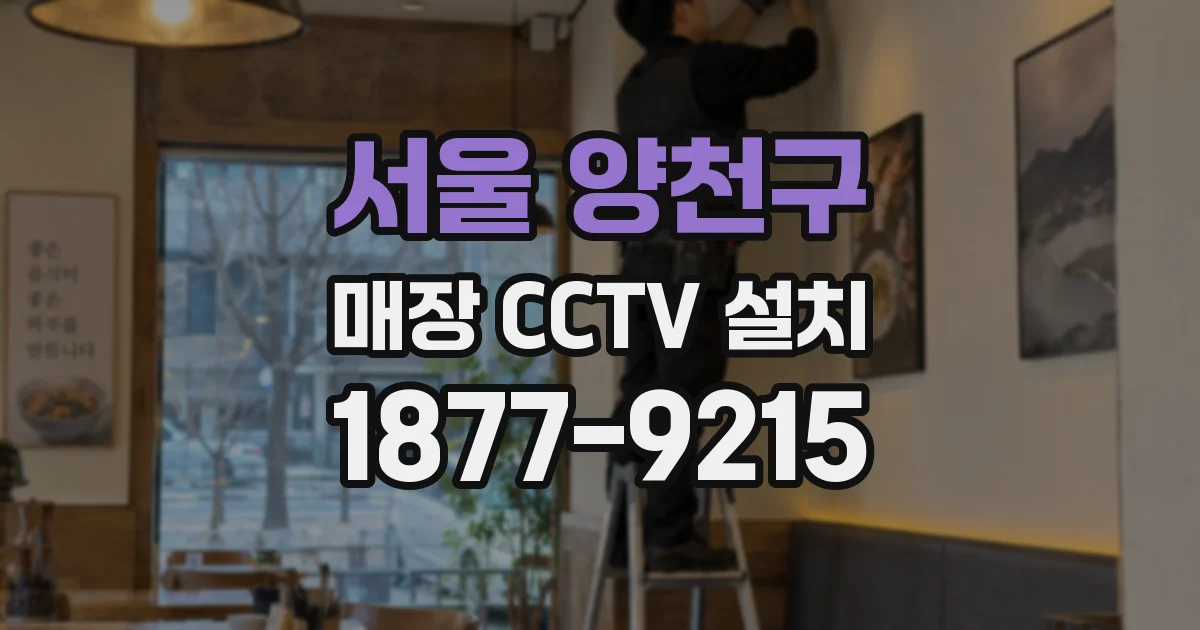 서울 양천구 매장 CCTV 설치