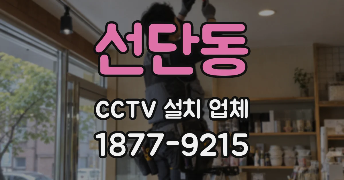 선단동 CCTV 설치 업체