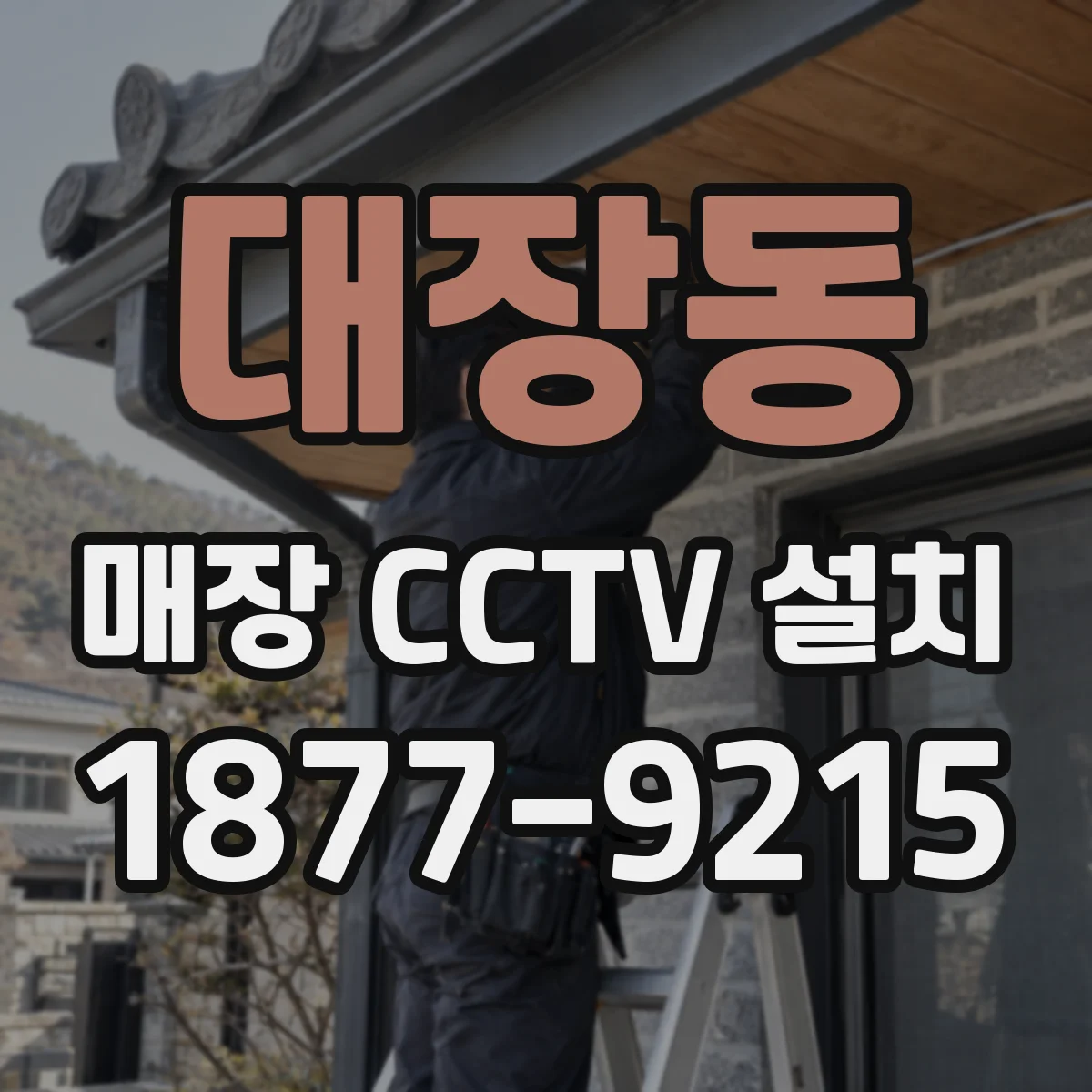 대장동 매장 CCTV 설치