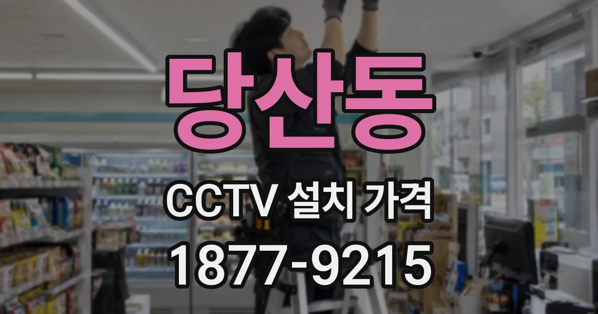 당산동 CCTV 설치 가격