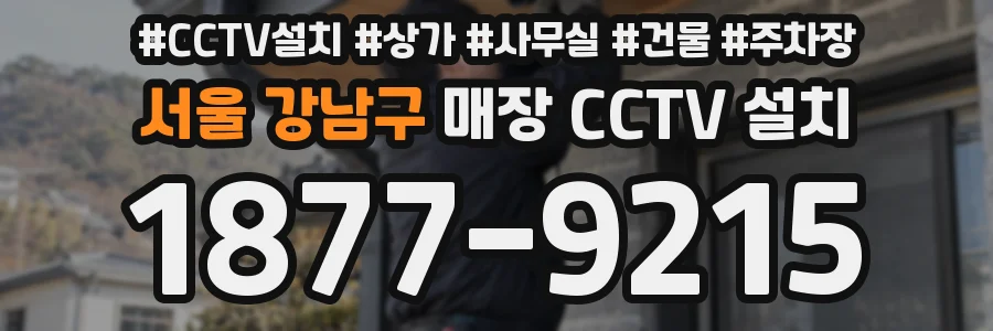 서울 강남구 매장 CCTV 설치