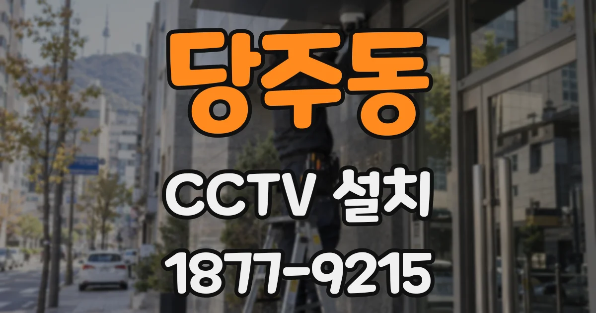 당주동 CCTV 설치