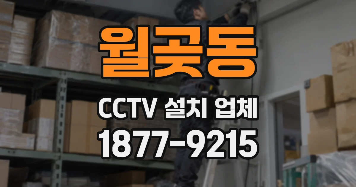 월곶동 CCTV 설치 업체