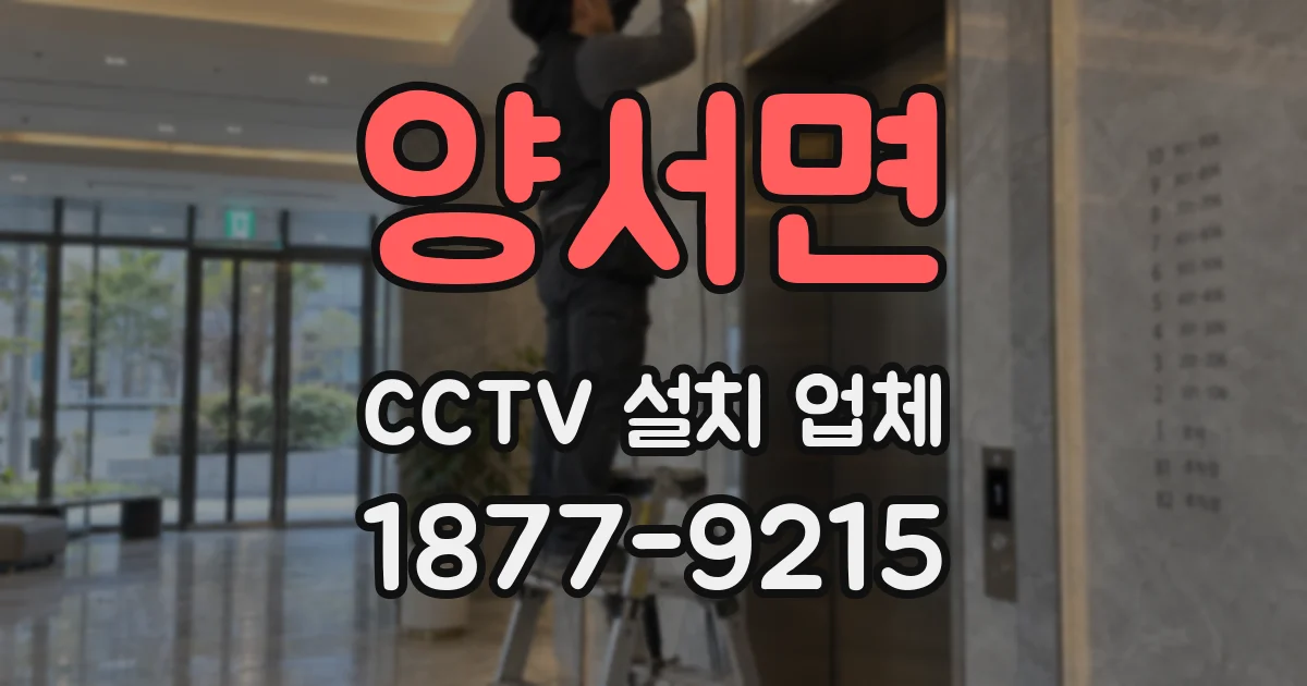 양서면 CCTV 설치 업체