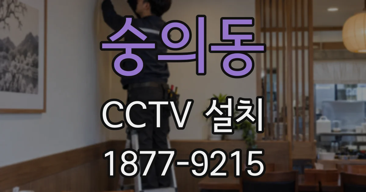 숭의동 CCTV 설치