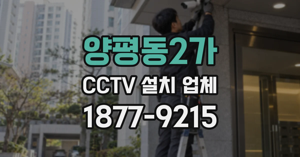 양평동2가 CCTV 설치 업체