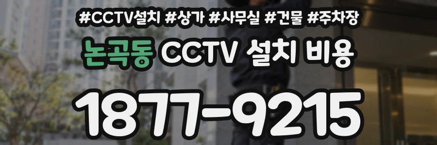논곡동 CCTV 설치 비용