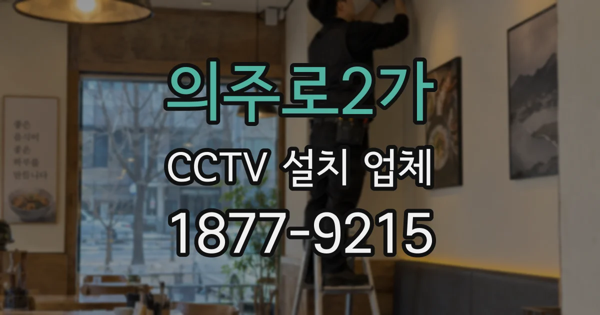 의주로2가 CCTV 설치 업체