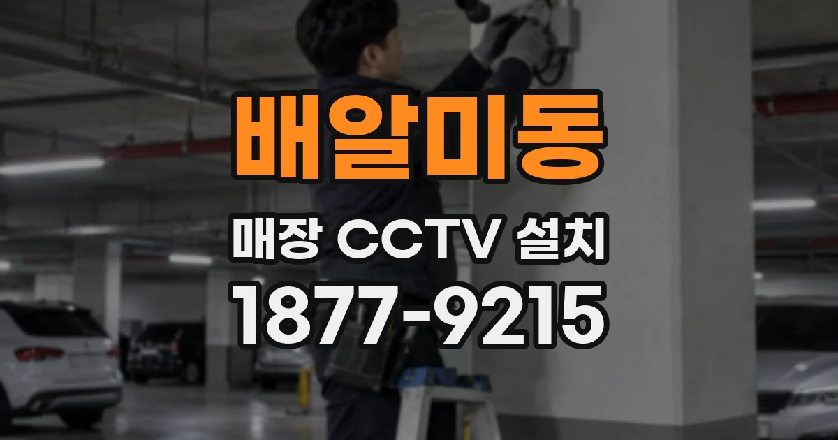 배알미동 매장 CCTV 설치