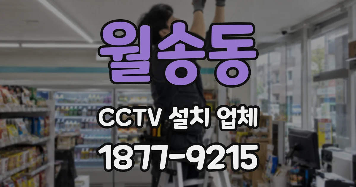 월송동 CCTV 설치 업체