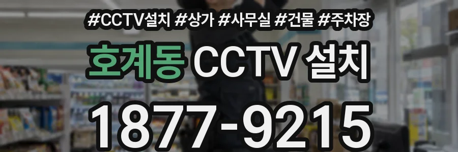 호계동 CCTV 설치