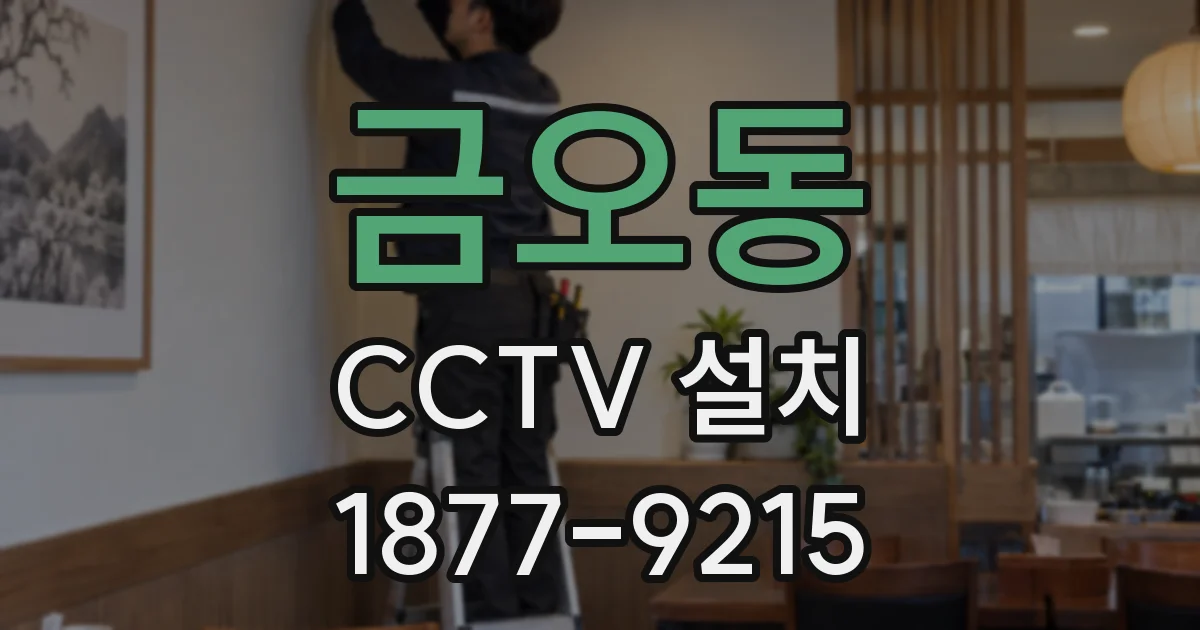 금오동 CCTV 설치
