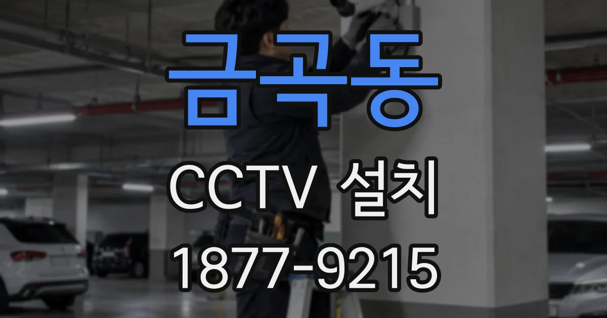 금곡동 CCTV 설치