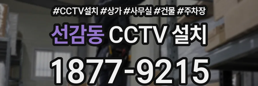 선감동 CCTV 설치