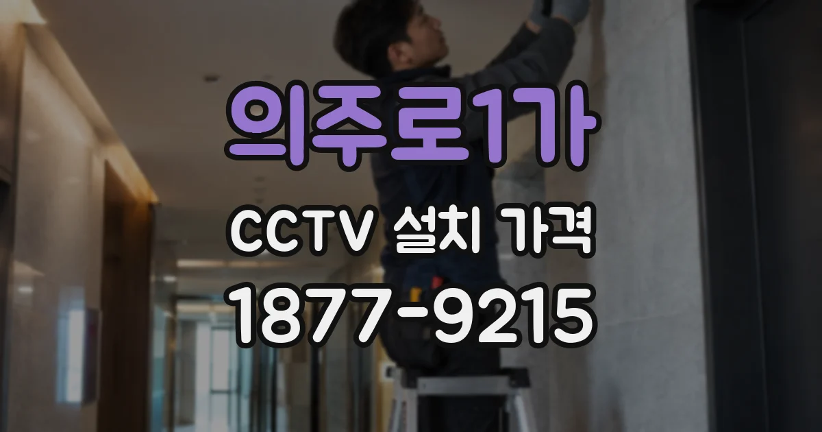 의주로1가 CCTV 설치 가격