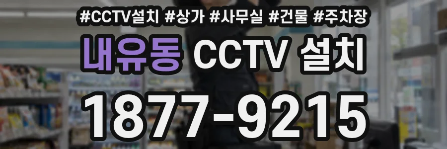 내유동 CCTV 설치