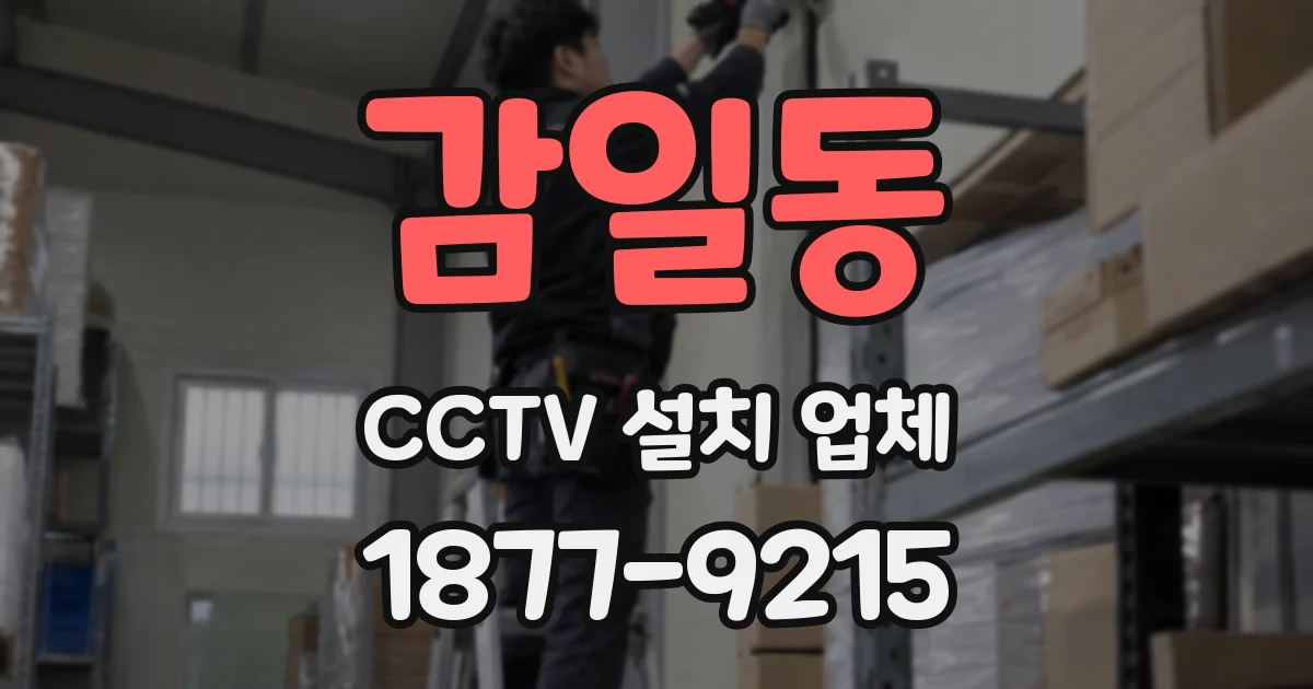 감일동 CCTV 설치 업체