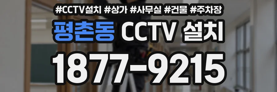 평촌동 CCTV 설치