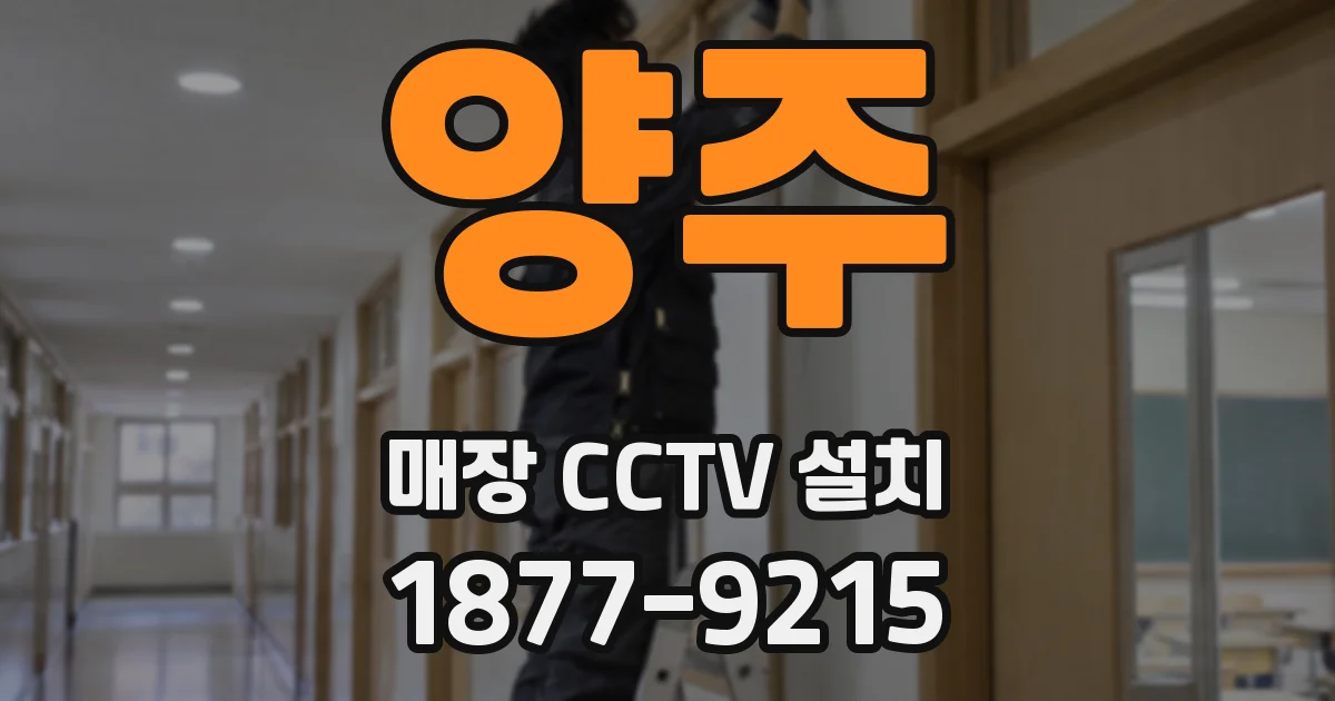 양주 매장 CCTV 설치