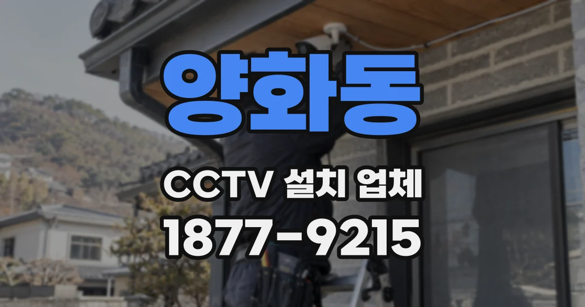 양화동 CCTV 설치 업체