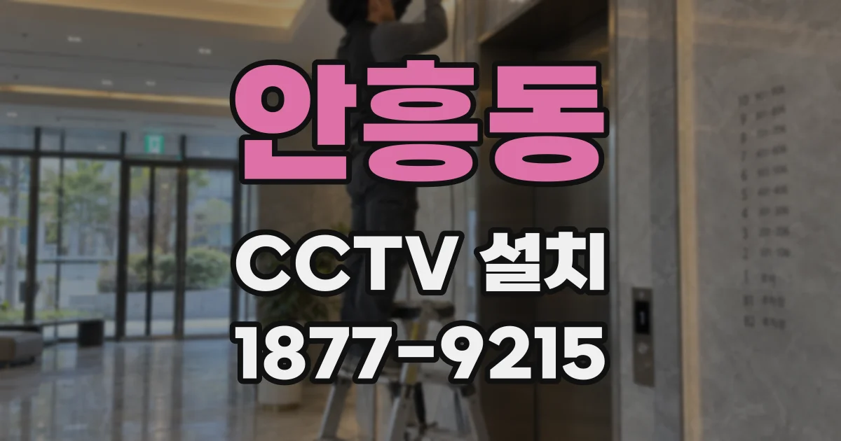안흥동 CCTV 설치