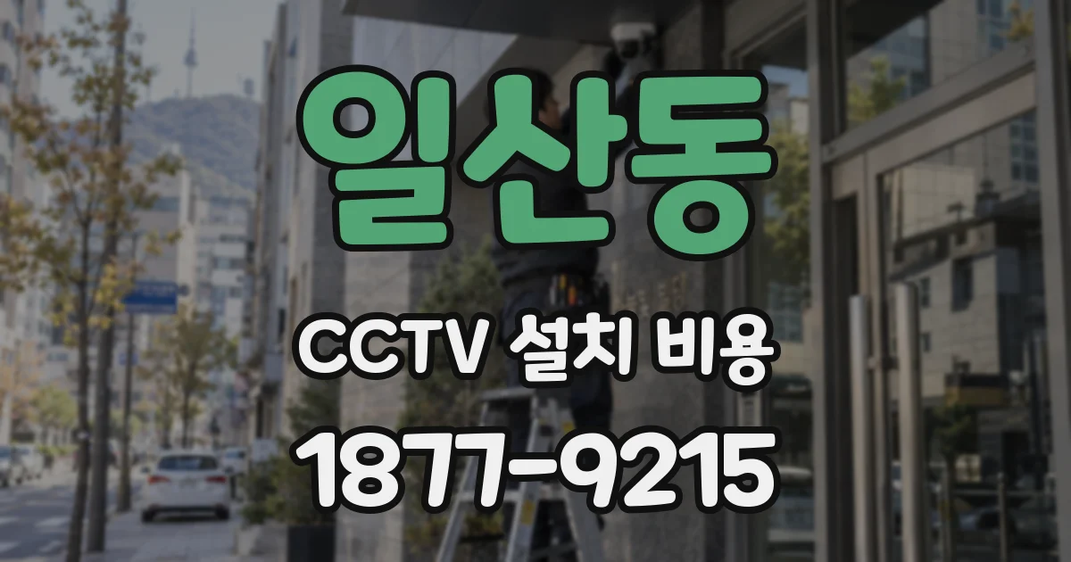 일산동 CCTV 설치 비용