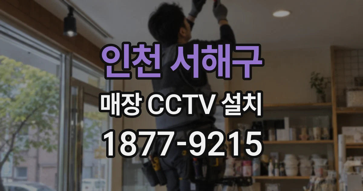 인천 서해구 매장 CCTV 설치