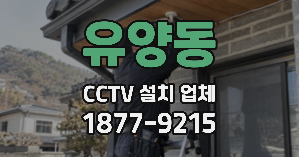 유양동 CCTV 설치 업체