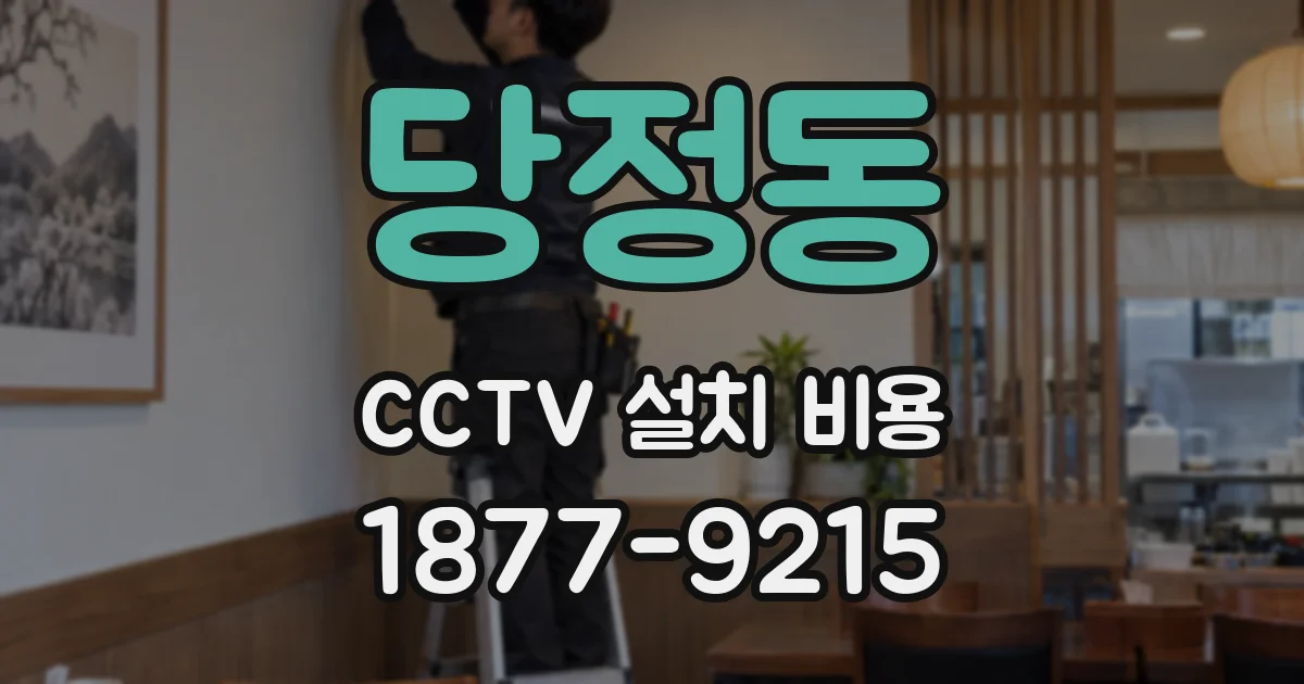 당정동 CCTV 설치 비용