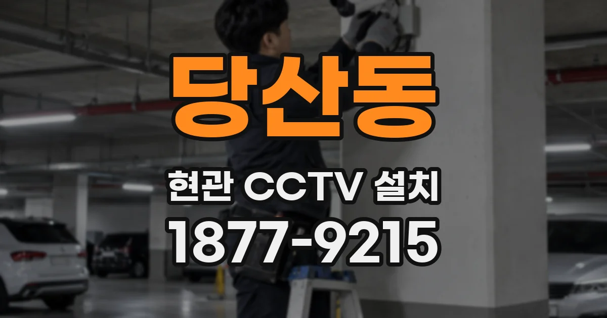 당산동 현관 CCTV 설치